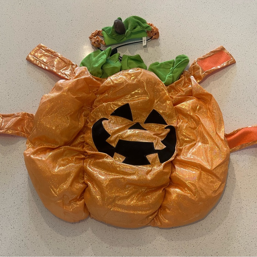 Pumpkin Costume